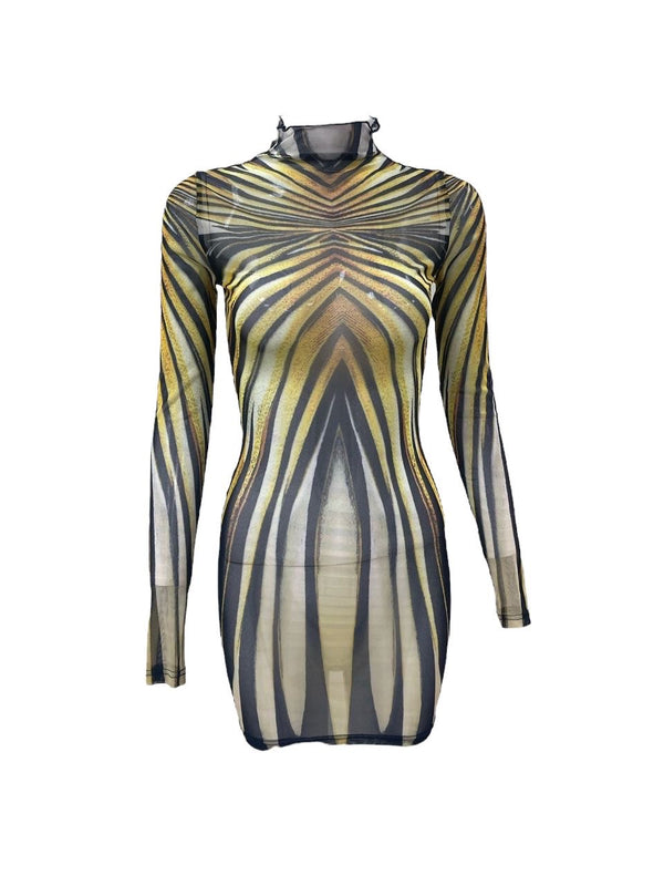 Mesh Dress With Matching Bikini